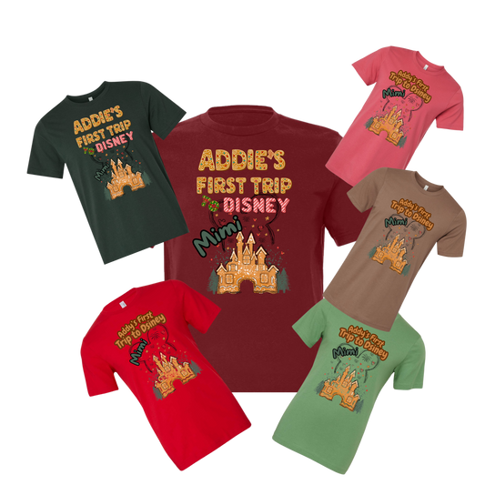 Matching Family Shirts for Disney & Theme Park Trips